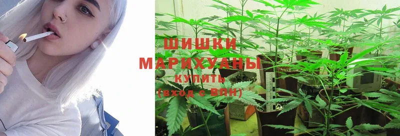 МАРИХУАНА SATIVA & INDICA  Семилуки 